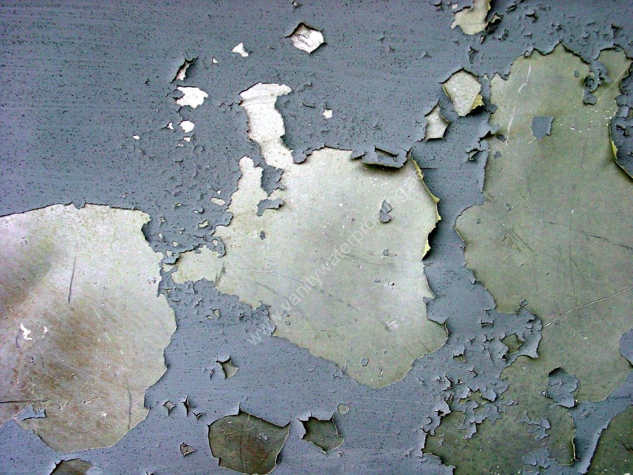 dampness-treatment-waterproofing-in-uae