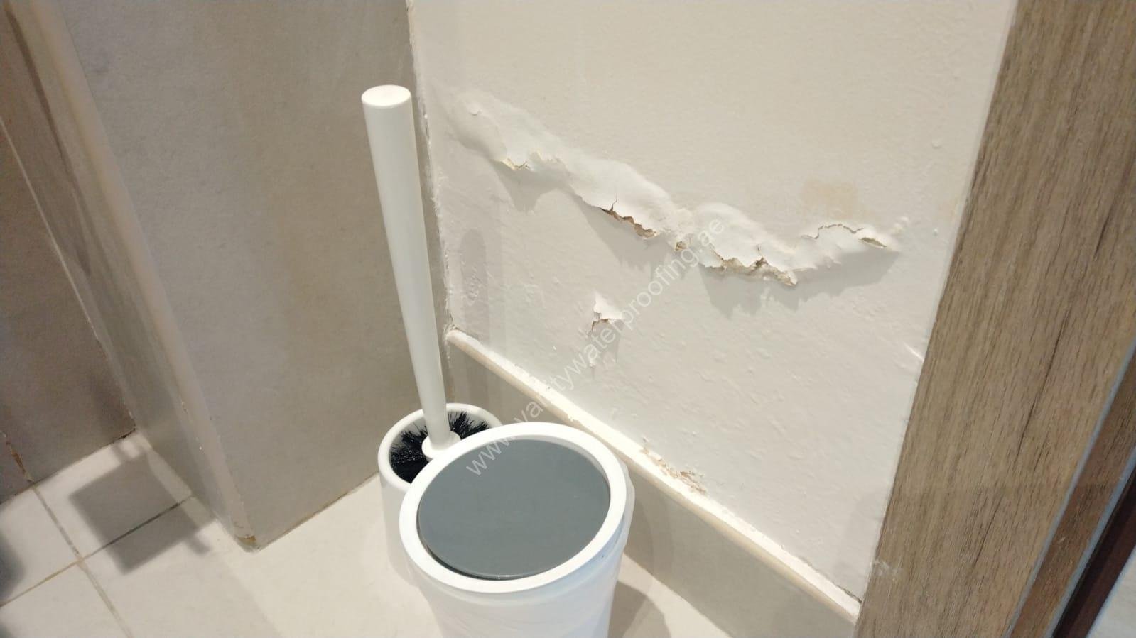 Wall Moisture Treatment - Best Waterproofing and Epoxy Company in Dubai ...