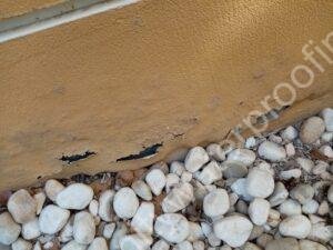 Villa Wall Moisture Dampness Treatment 