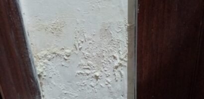 wall moisture treatment