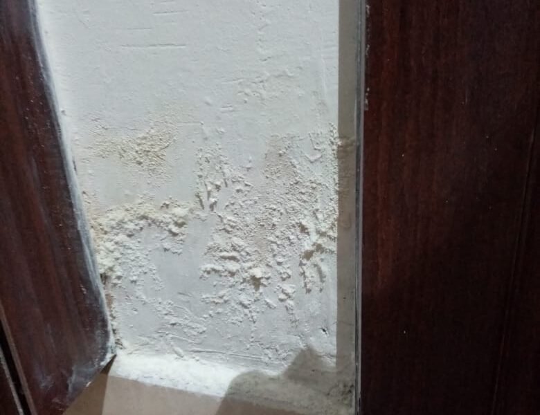 wall moisture treatment