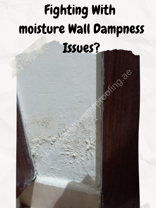 Fighting with moisture wall dampness issues?