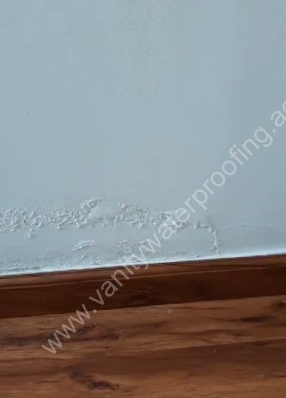 Peeling Paint