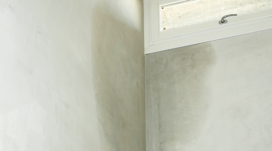 Wall Dampness